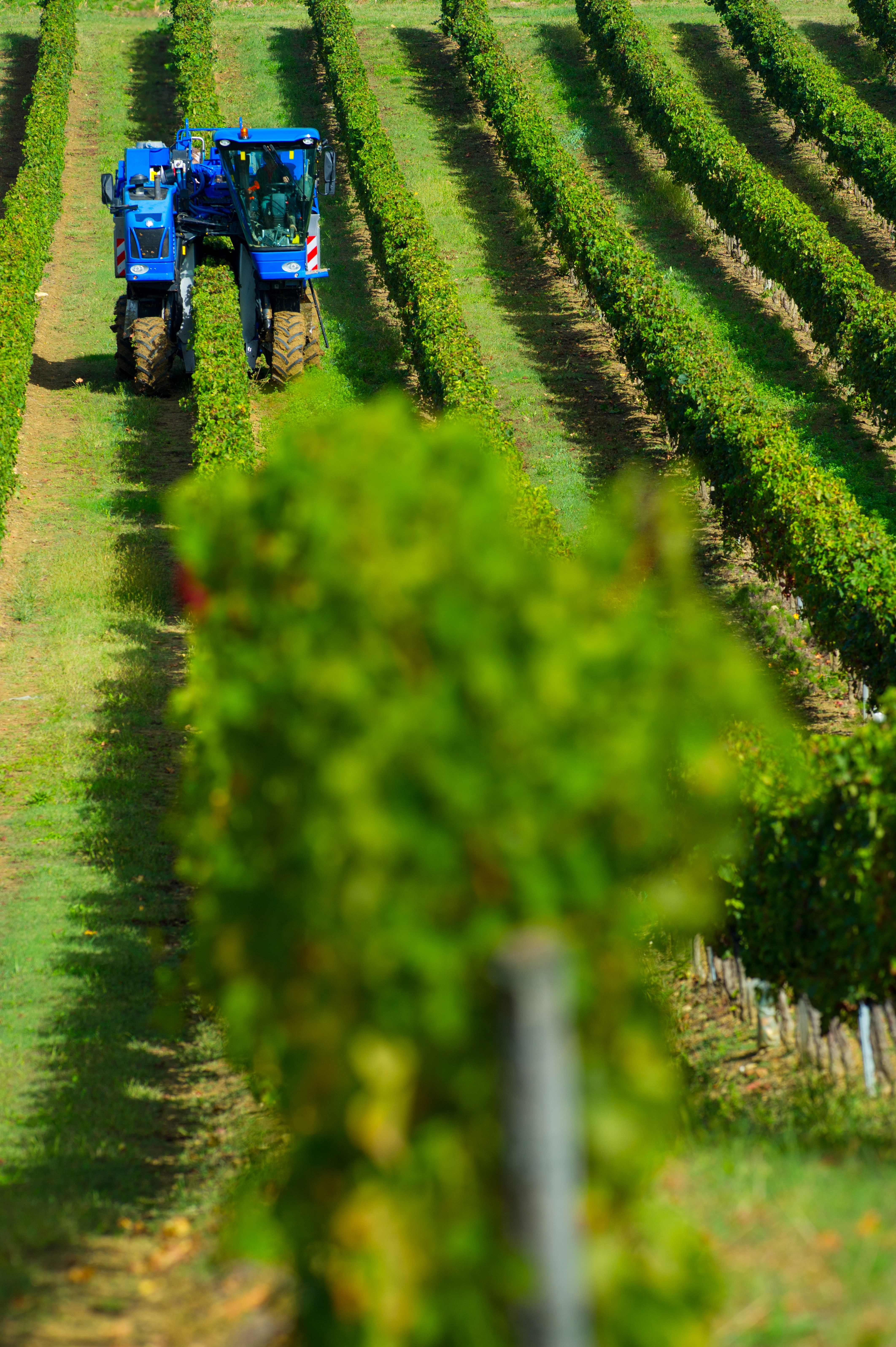 AGRICULTURAL MACHINERY
