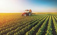 agricola