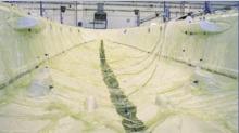 news_images/Azimut_Skin_Making_Process.JPG