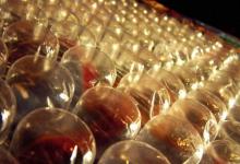 news_images/Plastics_1.jpg