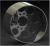 news_gallery/Meccanotecnica_Riesi_MIT_Wheel_Image_2012.jpg